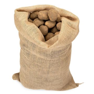 Jutte zak voor aardappelen 215 g/m² inhoud 25 kg 51 x 79 cm De Cordeline