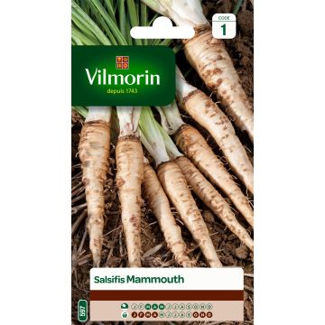 Haverwortel Mammouth - Vilmorin