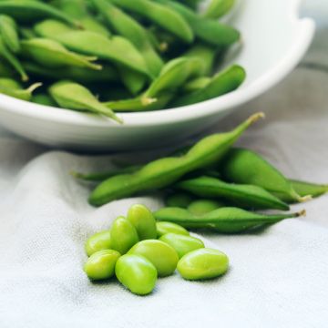 Sojaboon Fiskeby V Sojaboon Fiskeby V