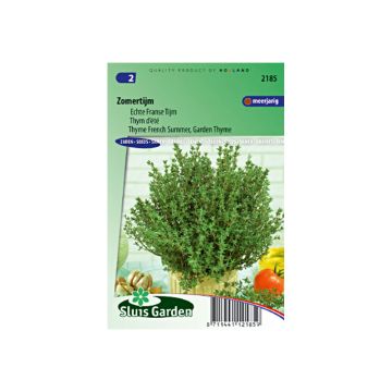 Echte tijm - Thymus vulgaris (zaad)