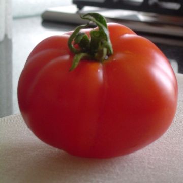 Vleestomaat Marmande BIO