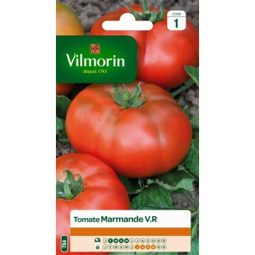 Vleestomaat Marmande - Vilmorin