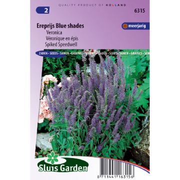 Veronica spicata Blue Shades (zaad) - Aar-ereprijs