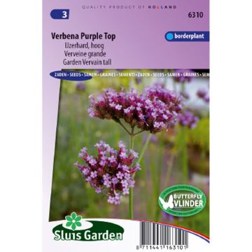 Verbena bonariensis Purple Top (zaad) - Reuzenverbena