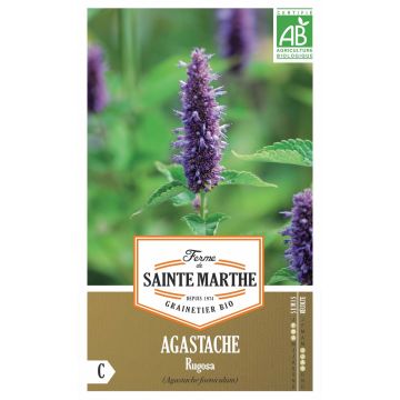 Koreaanse munt BIO Ferme de Sainte Marthe - Agastache rugosa