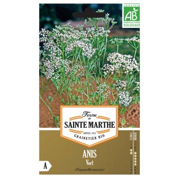 Anijs BIO Ferme de Sainte Marthe - Pimpinella anisum