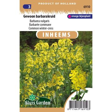 Gewoon barbarakruid - Barbarea vulgaris (zaad) Gewoon barbarakruid - Barbarea vulgaris (zaad)