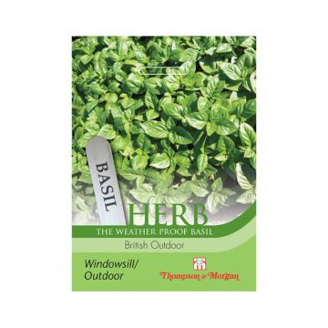 Basilicum British Outdoor