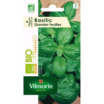 Grote groene basilicum BIO - Vilmorin