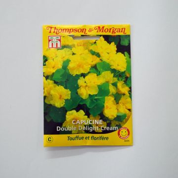 Oost-Indische kers Double Delight Cream (zaad) - Tropaeolum majus