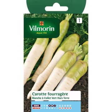 Voederwortel Witte met groene kraag - Vilmorin