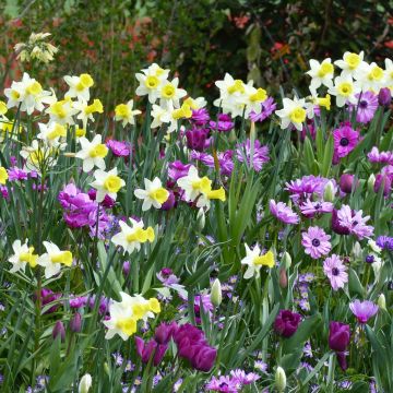 # Collectie Landelijke Wandeling