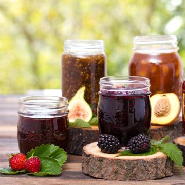 # Collectie Jam - 3 klein fruit