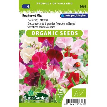 Siererwt BIO - Lathyrus odoratus (zaad)