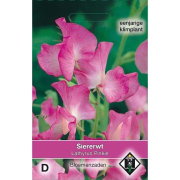 Lathyrus odoratus Pinkie (zaad) - Siererwt
