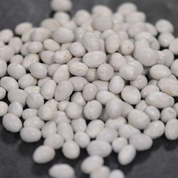 Stokdopboon Gros Sophie - Ferme de Sainte Marthe