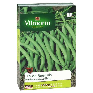 Stamslaboon Fin de Bagnols - Vilmorin