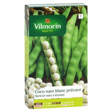 Stamdroogboon Coco Blanc vroeg - Vilmorin
