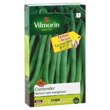 Stamslaboon Contender - Vilmorin