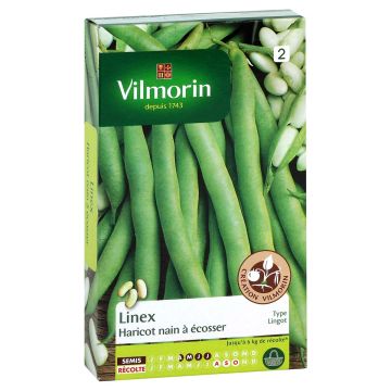 Dopboon Linex - Vilmorin