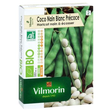 Stamdroogboon Coco Blanc vroeg BIO - Vilmorin
