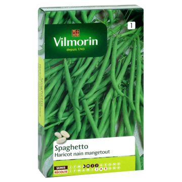 Stamslaboon Spaghetto - Vilmorin