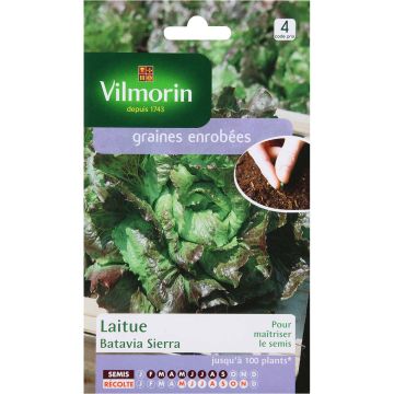 Bataviasla Sierra - Vilmorin (zaad - gecoat)