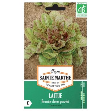 Romaine sla Bonte Chicon BIO - Ferme de Sainte Marthe