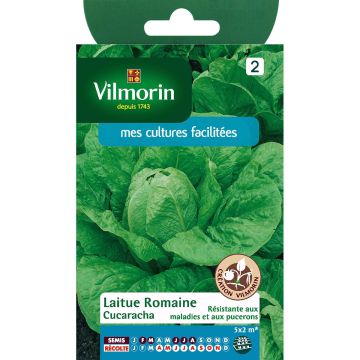 Romaine sla Cucaracha - Vilmorin