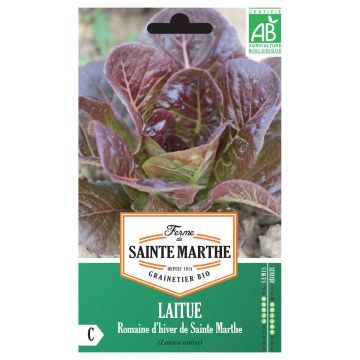 Romaine sla d'Hiver de Sainte-Marthe BIO - Ferme de Sainte Marthe