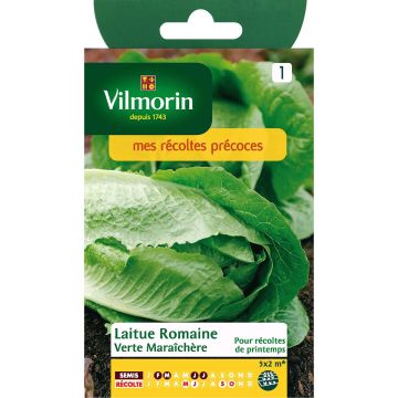 Romaine sla Groene Maraîchère - Vilmorin
