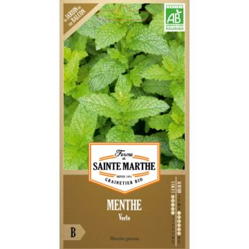 Groene munt BIO Ferme de Sainte Marthe - Mentha spicata