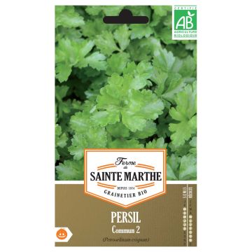 Platte peterselie Gewone Snij 2 BIO - Ferme de Sainte Marthe