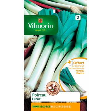 Prei Furor - Vilmorin