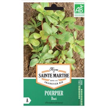 Postelein Goudgele BIO - Ferme de Sainte Marthe