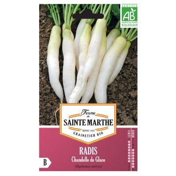 Radijs IJskaars BIO - Ferme de Sainte Marthe
