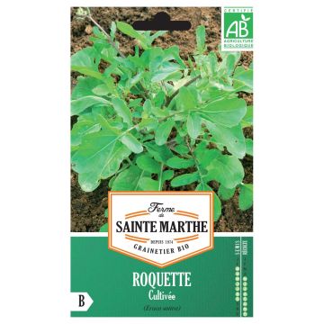 Rucola BIO - Ferme de Sainte Marthe