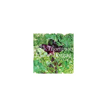 Pluksla Fancy Summer Mix