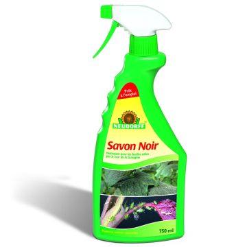 Neudorff Zwarte Zeep kant-en-klaar 750 ml