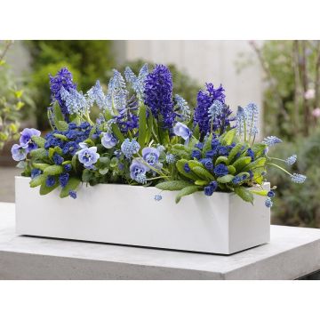 Voorjaarscollectie Lucht & Zee