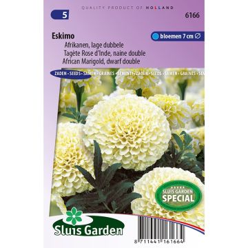 Groot afrikaantje nana Eskimo (zaad) - Tagetes erecta