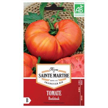 Vleestomaat Beefsteak BIO - Ferme de Sainte Marthe Vleestomaat Beefsteak BIO - Ferme de Sainte Marthe
