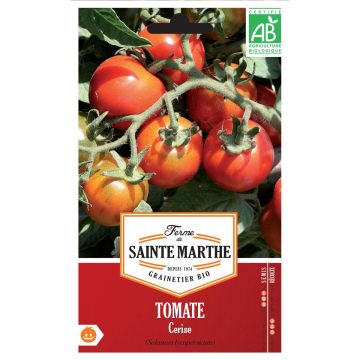 Cherrytomaat BIO - Ferme de Sainte Marthe