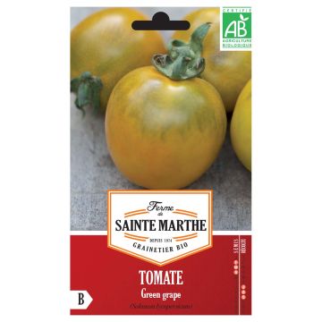 Tomaat Green Grape BIO - Ferme de Sainte Marthe