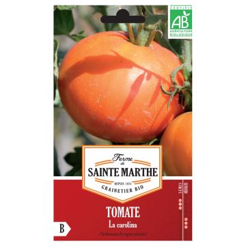 Tomaat La Carotina BIO - Ferme de Sainte Marthe