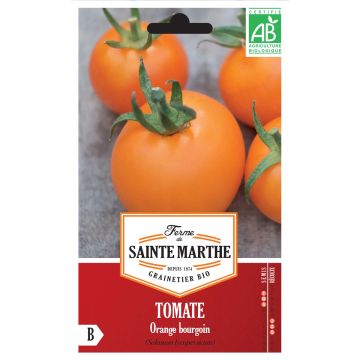 Tomaat Orange Bourgoin BIO - Ferme de Sainte Marthe