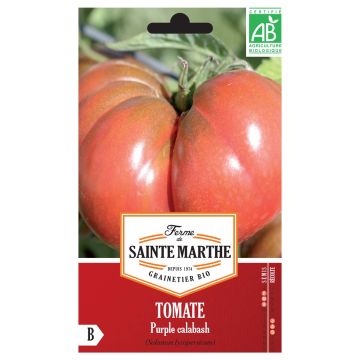 Tomaat Purple Calabash BIO - Ferme de Sainte Marthe Tomaat Purple Calabash BIO - Ferme de Sainte Marthe