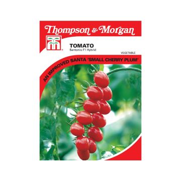 CherrytomaatSantonio F1