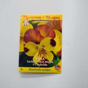 Viola cornuta Sorbet Peach Melba F1 (zaad) - Hoornviooltje