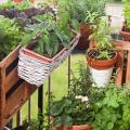 Moestuin op terras en balkon